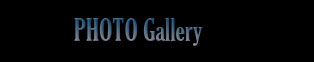 Photo Gallery